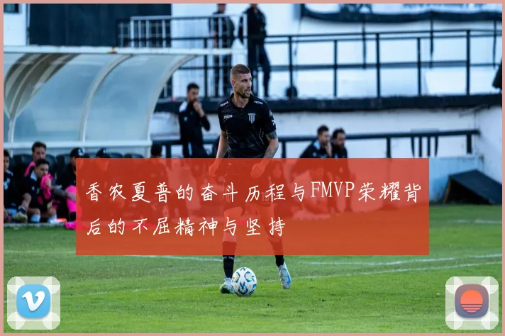 香农夏普的奋斗历程与FMVP荣耀背后的不屈精神与坚持